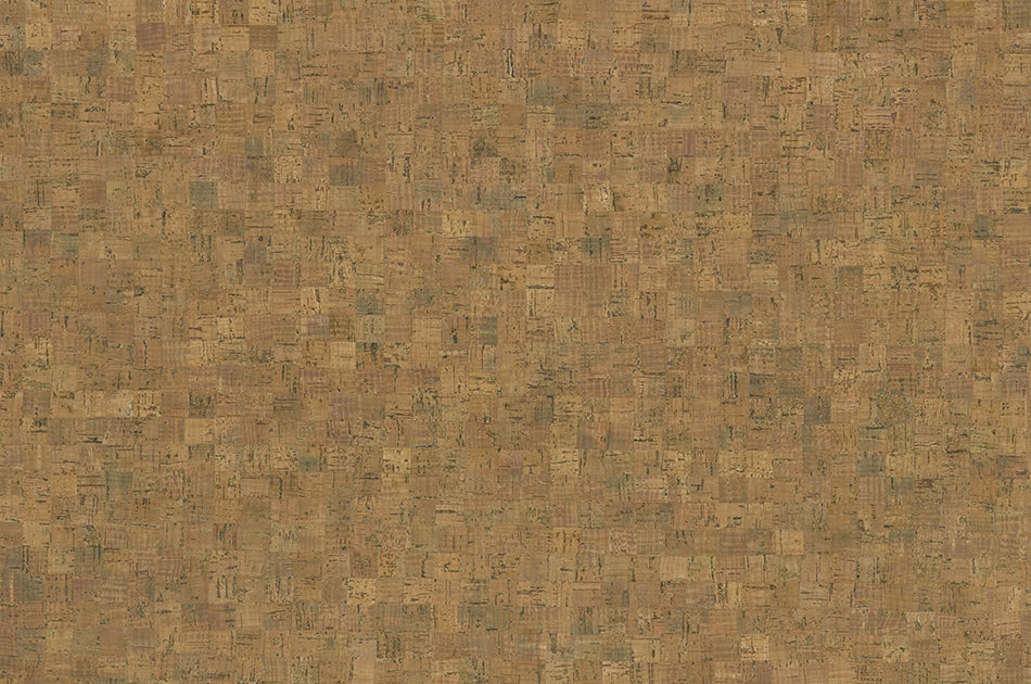 Cork Floors