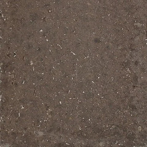 Circular Surface (Unfired) (Library)