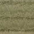 Salt Wood - Olive