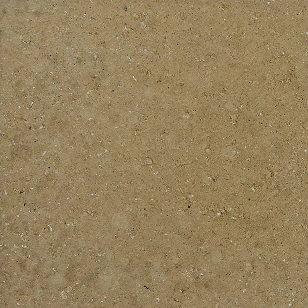 Circular Surface (Unfired) (Library)