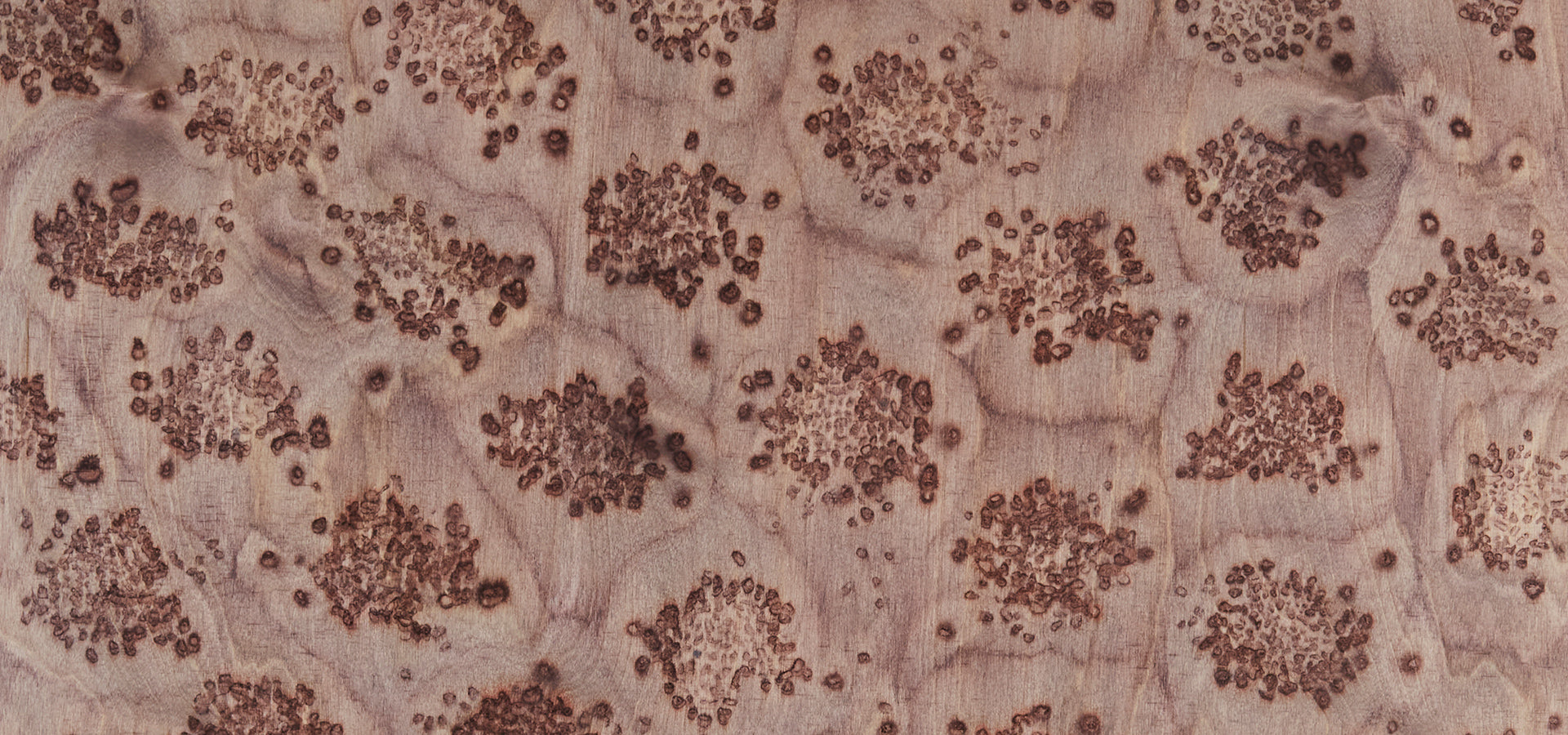 Salt Wood